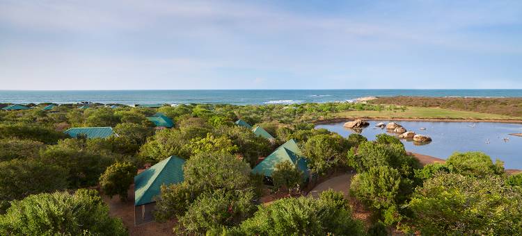 辛纳蒙亚拉野生动物酒店(Cinnamon Wild Yala)图片