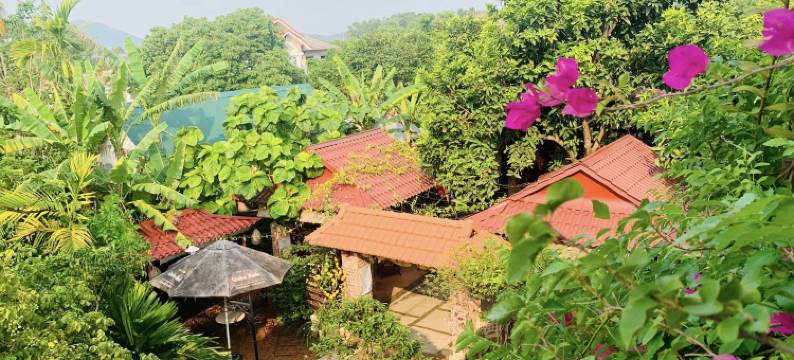 顺化莲花家庭旅馆(Hue Lotus Homestay)图片