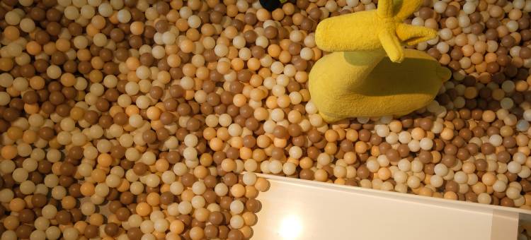 ANQUI安葵精品酒店(三垟湿地店)图片