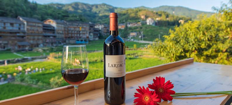 极境·稻野villa全景度假美宿(肇兴侗寨店)图片