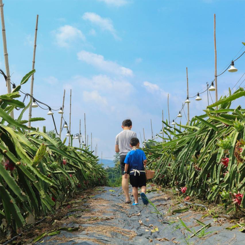 崇左在野宿集·野白度假Villa图片