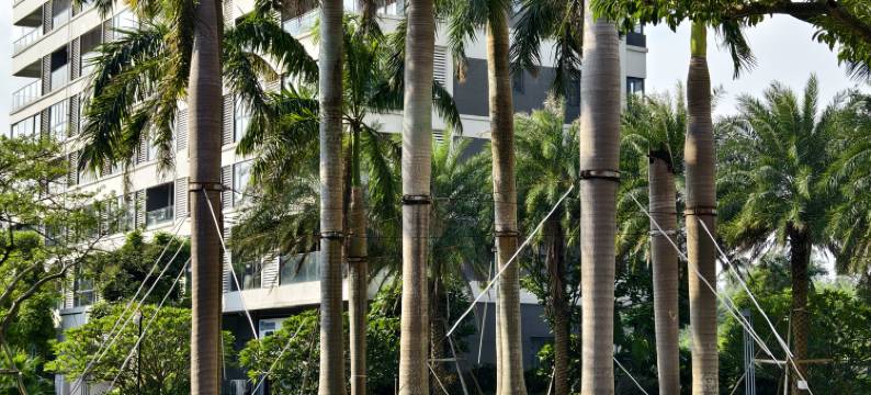 北海日记民宿(铂悦湾店)图片