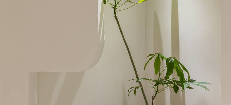 木子·无人智能美宿(德清西站沃尔玛店)图片