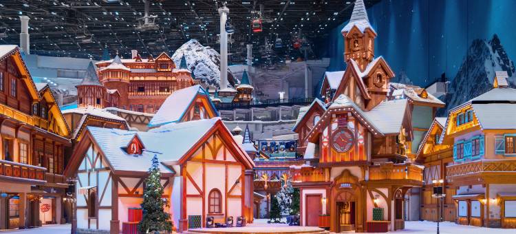 上海冰雪世界皇冠假日酒店图片