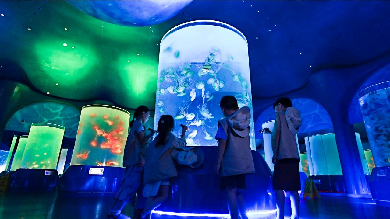 上海海昌奥特曼主题酒店图片