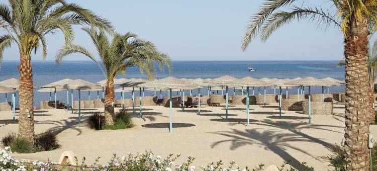 三角阳光海滩度假村(Three Corners Sunny Beach Resort)图片