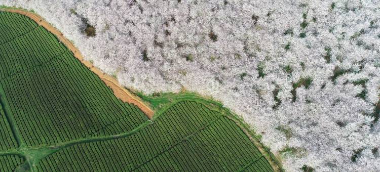安顺•悦漫致丨CINEMAMTHSCENERYVACAY温泉酒店(平坝南站区政府店)图片