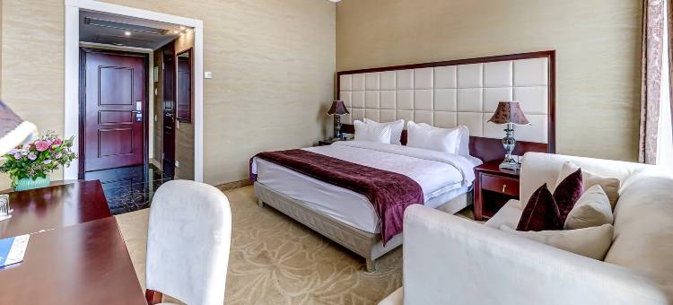 圣彼得堡阿克雅酒店(AKYAN Saint Petersburg Hotel)图片