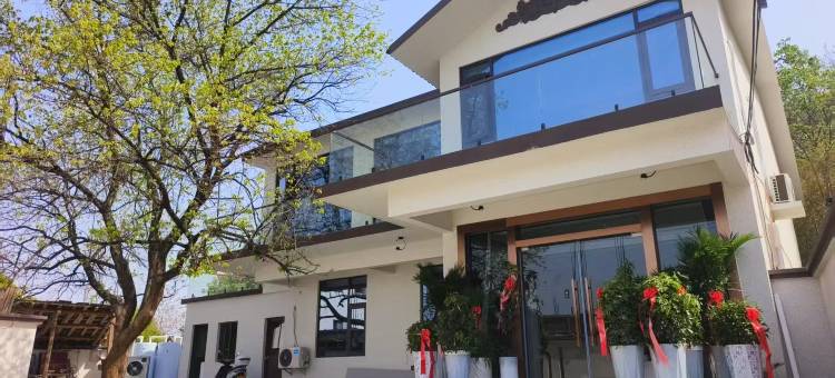 杏花院子民宿图片