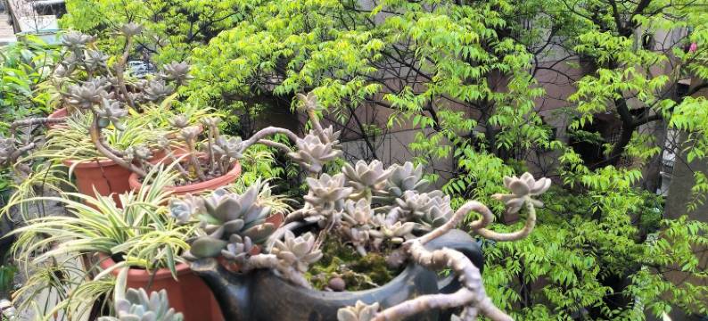 背包客青年旅舍(北湖公园店)图片