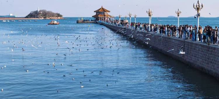 汉庭酒店(青岛栈桥海滨风景区店)图片