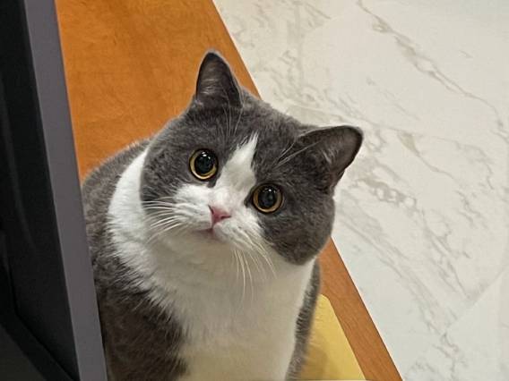 三分木民宿(烟台开发区工程职业学院店)图片