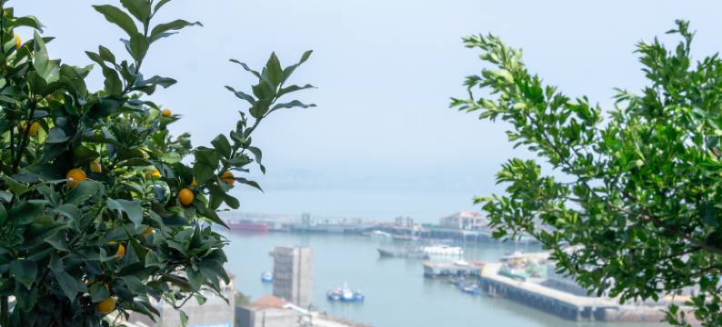 大陈岛海栖云宿图片