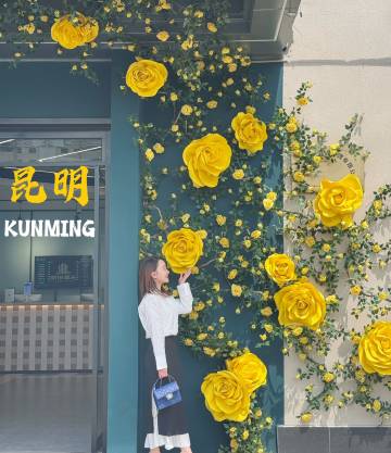 丽铂酒店(昆明欣都龙城北辰财富中心店)图片