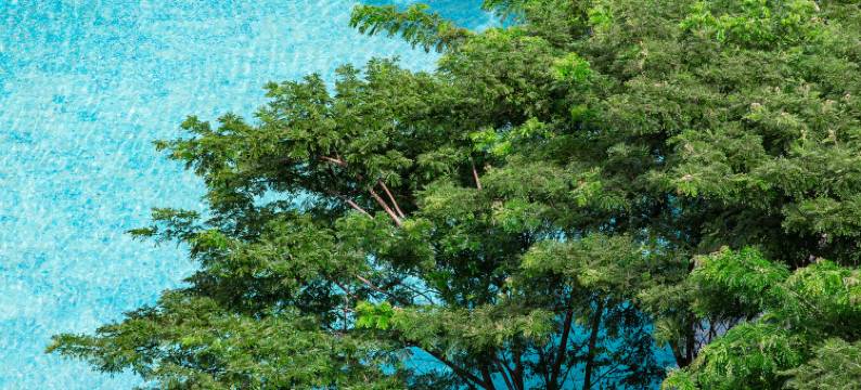 三亚保利瑰丽酒店图片