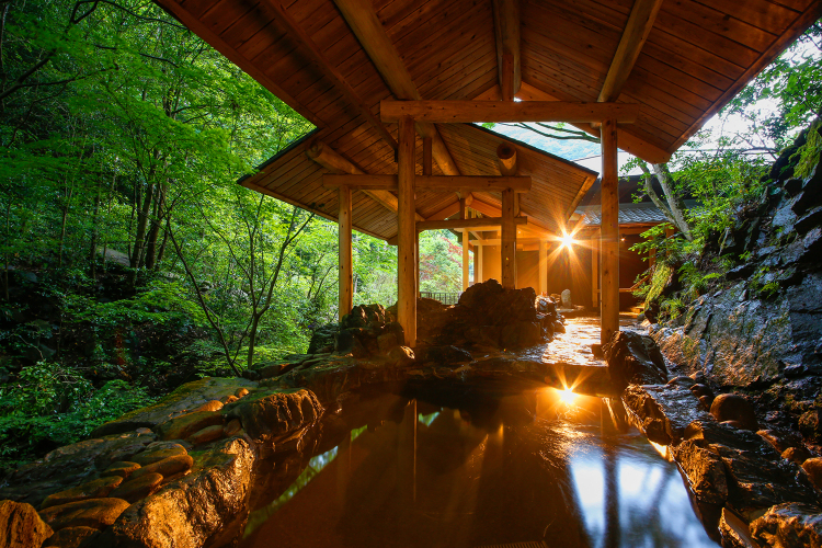 Asan Kotonami Over view