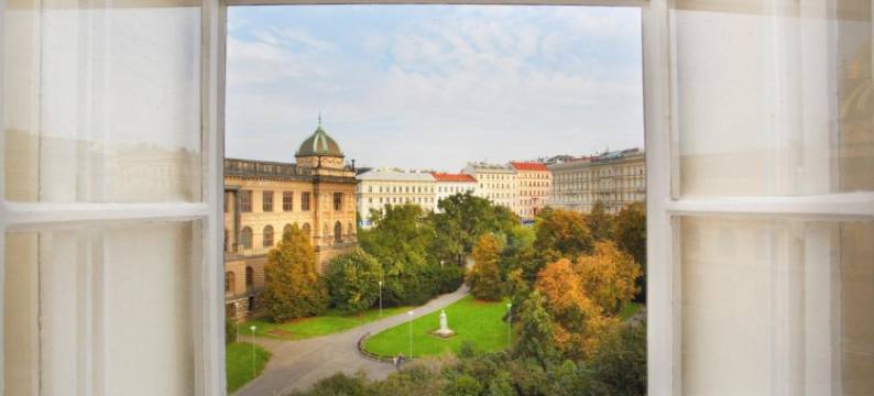 瓦茨拉夫广场酒店(Wenceslas Square Hotel - Czech Leading Hotels)图片