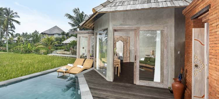 TheWakanda A Pramana Experience图片