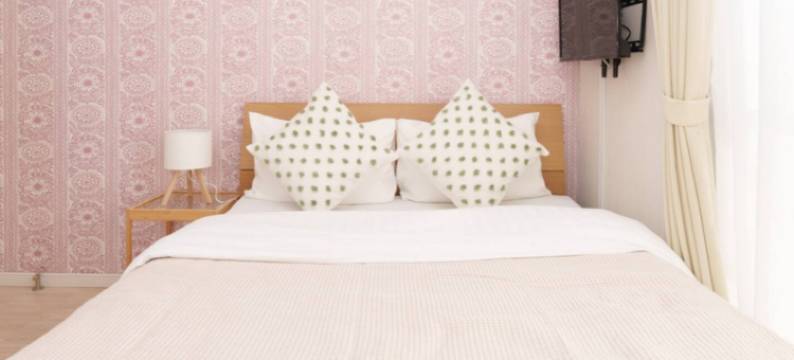 AIRSTAY浅草 | 步行至浅草寺仅需3分钟 | 距最近车站步行2分钟(AIRSTAY Asakusa)图片