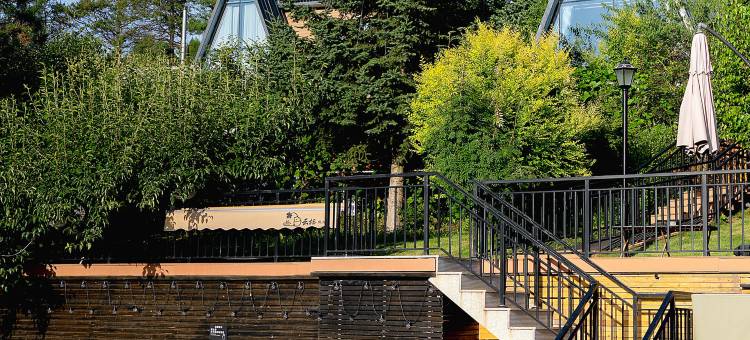 延吉云栖枫林里泳池私汤民宿(延吉朝阳川机场店)图片