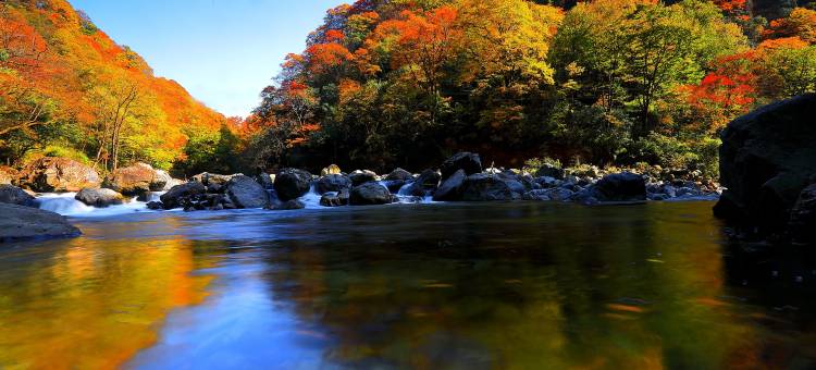 巴中江北宾馆图片