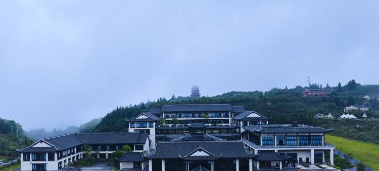 八仙山茶文化研学基地图片