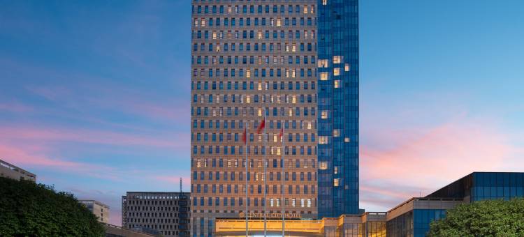 芜湖中央城大酒店图片