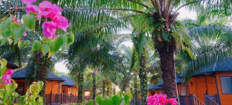 薄荷度假村(中文管家服务+免费酒店往返镇上/码头班车)(PUDINA RESORT)图片