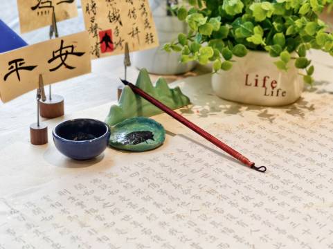 千岛湖璞蔚逸趣度假村图片