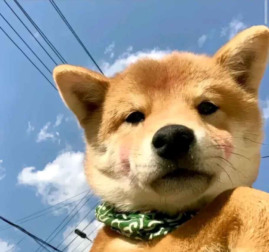 悦航臻华酒店(太原武宿机场高铁南站店)图片