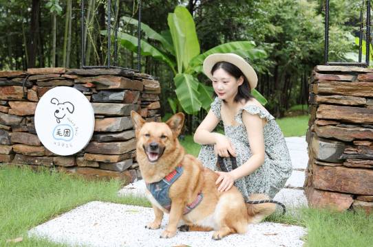 大乐之野·绿山墙(安吉店)图片