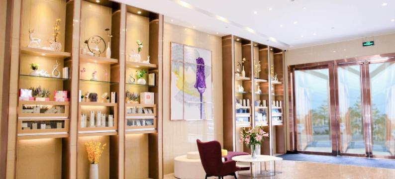 麗枫酒店(深圳龙华汽车站清湖地铁站店)图片