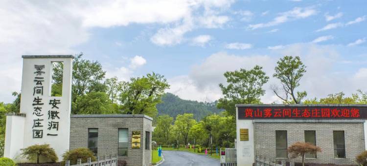 黄山雾云间生态庄园民宿图片