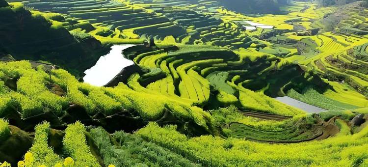 婺源·印宇阁美宿(晒秋观景台篁岭风景区店)图片