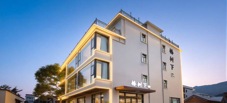 椿树下民宿(宝泉旅游景区店)图片