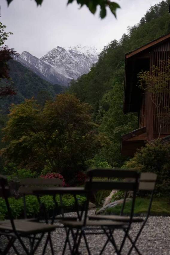 树下・艺术疗愈Healing・泳池・酒吧・雪山温泉・森林花园设计师美宿图片