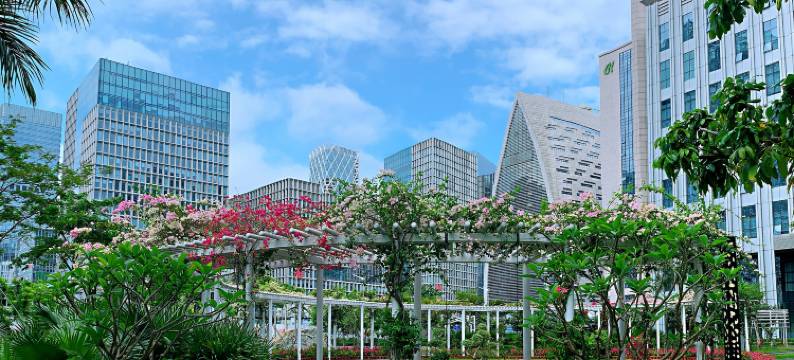 深圳南山科技园若玺轻宿酒店图片