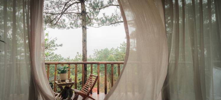 小隐·云端露营度假图片