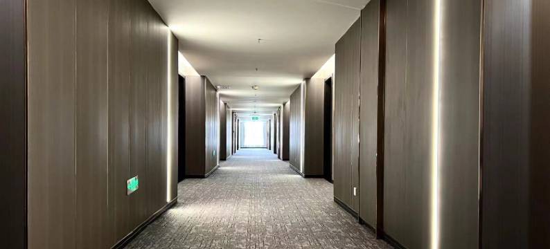 西安水墨长安艺术酒店(崔振宽美术馆店)图片