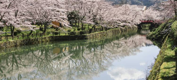 东横INN-鸟取站南口(Toyoko Inn Tottori Station Minami)图片