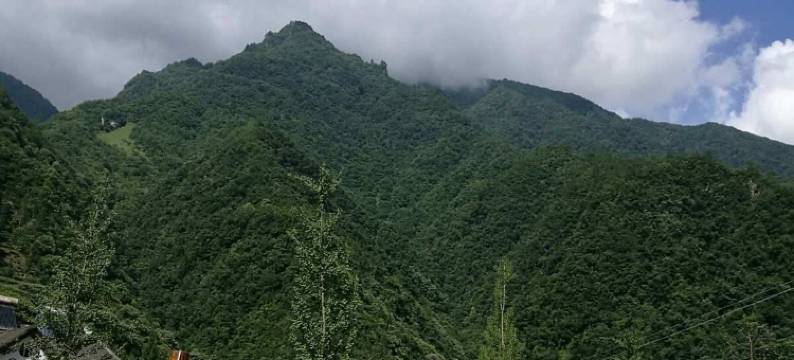神农架枫晚酒店(木鱼镇店)图片