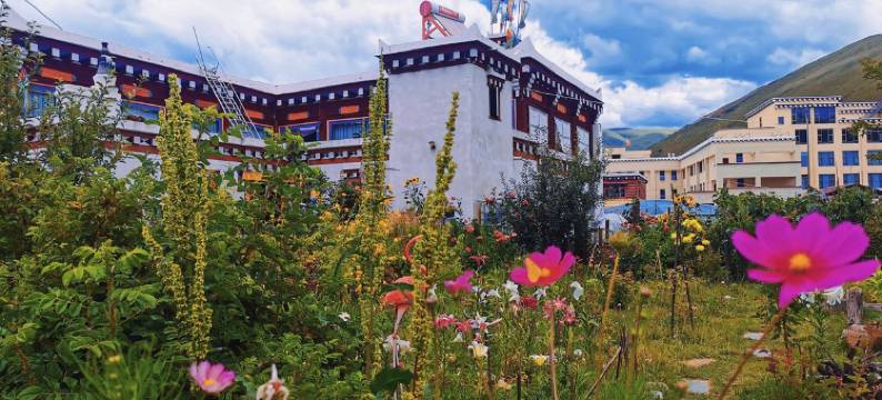 道孚拉姆藏家客栈图片