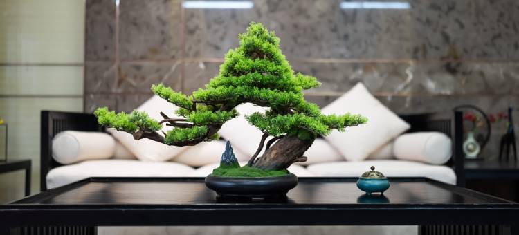 龚禧里·初见酒店(酃湖万达店)图片