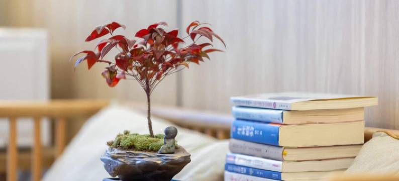 水木·檐语间庭院精致美宿图片