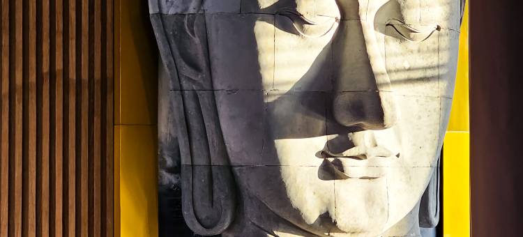 乐庙酒店(Hotel Le Temple Borobudur)图片