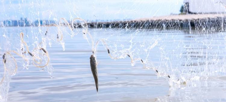 北海海丝首港建国饭店图片