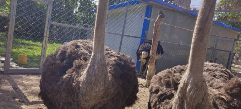 昌吉园林宾馆(东方广场店)图片