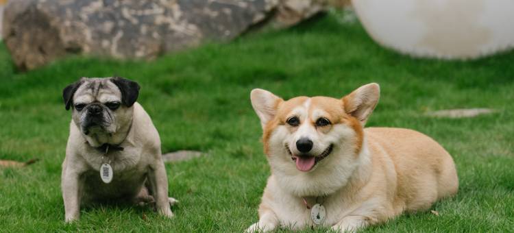 陶溪川路院里有山民宿(景德镇北站店)图片