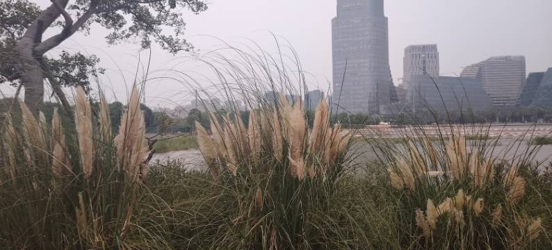 星越宾馆(邵逸夫医院钱塘院区店)图片