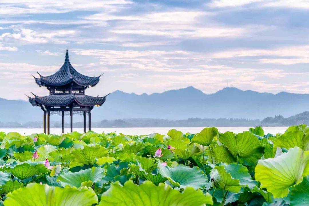 蔚徕酒店(西湖灵隐寺景区西溪湿地店)图片